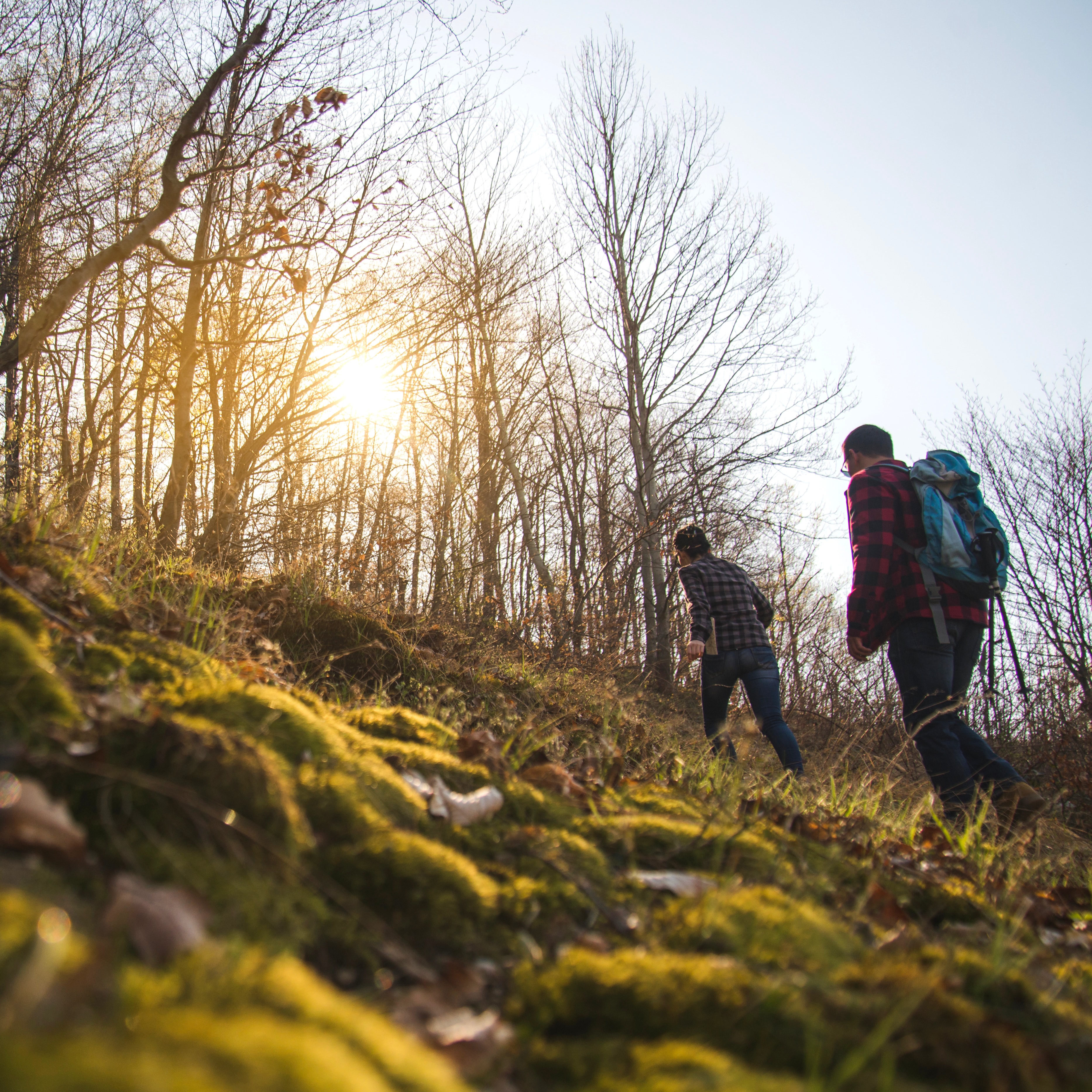 Hiking